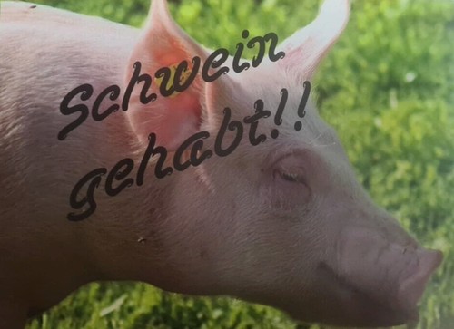 50x karten gewinnspielkarten - 50x,